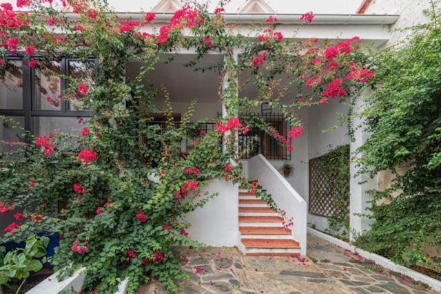 Casa Rural Collao De Lobo Serradilla Dış mekan fotoğraf